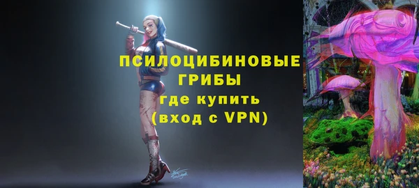 не бодяженный Ельня