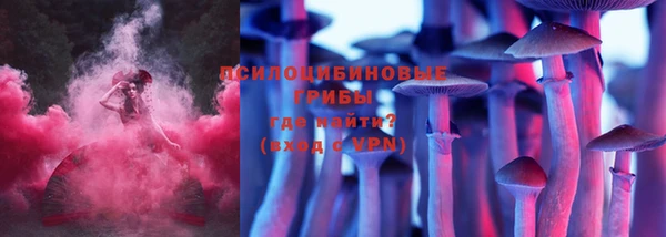 не бодяженный Ельня