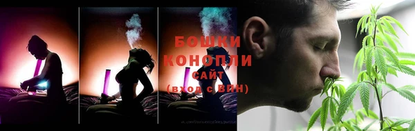 не бодяженный Ельня