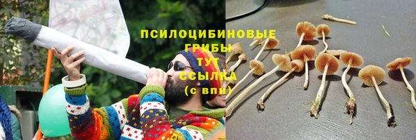 бутират Елизово
