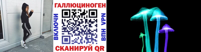 Псилоцибиновые грибы Cubensis Купить закладки Котельнич