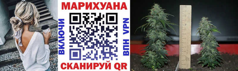 Купить где  Котельнич  Канабис MAZAR 